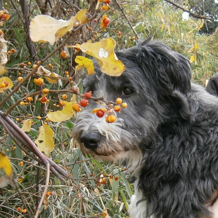 325b4709 1a26 4a49 a67e 8b5466df10df 1511612771222