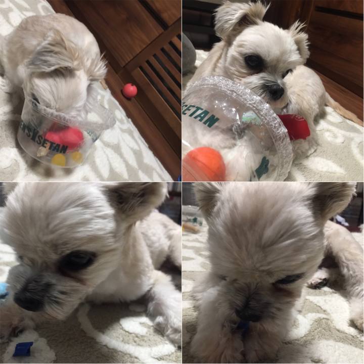 325b52b9 ff66 4665 a729 58155944d223 1545048742420