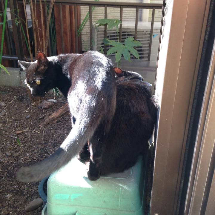 325b89d8 f89d 4e9d 8d14 ca54baadf3bf 1511256832812