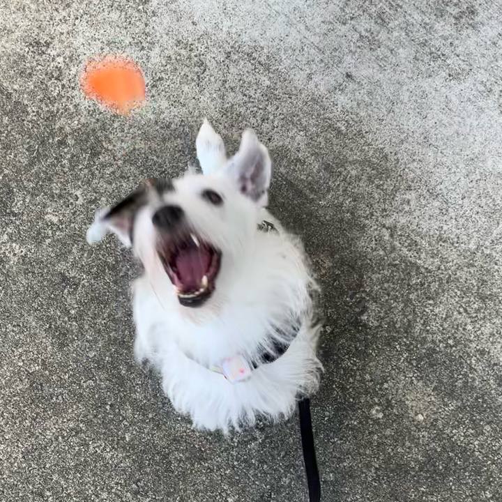 325bb62d 15f7 4bc5 8dcf b01831b09b42 1694559568575