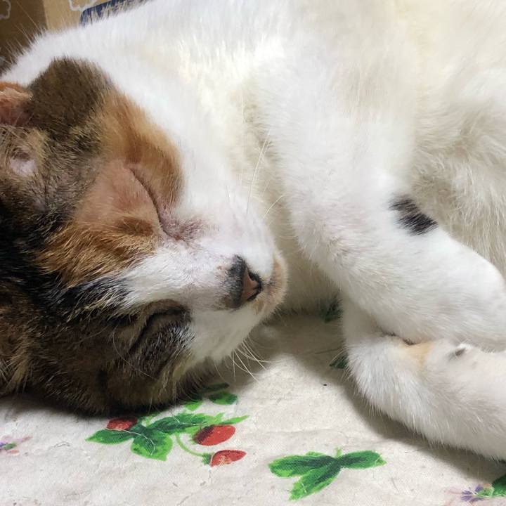 325bd330 d7d9 4550 9c1d ff33b6cff042 1584189687743