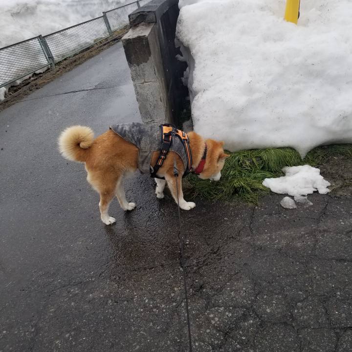 325c03a5 871d 4805 a104 9721e4b8ed8b 1741231227185