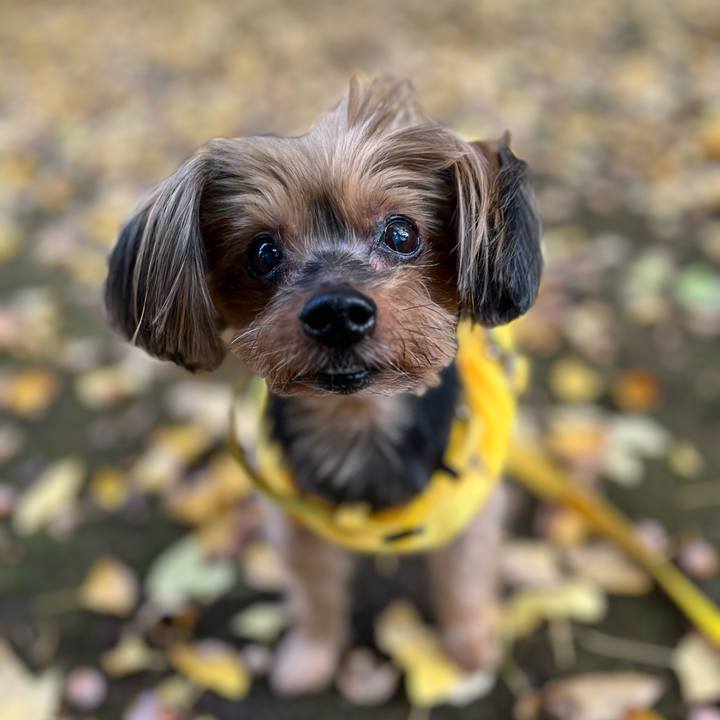 325c3074 ed71 47c7 9a08 73866df67b5e 1700714866241