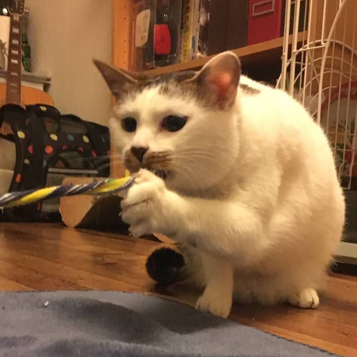 325c5745 8e3e 4f1e 8366 739d47942bef 1516810144699