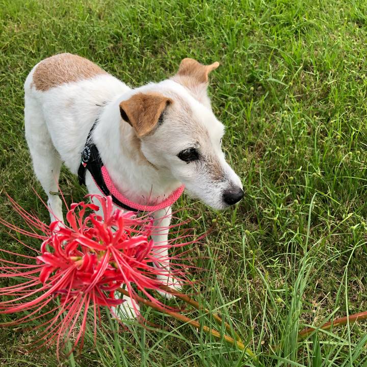 325c6cbf 386c 4c96 8341 d00a84c0f8f4 1632368130345