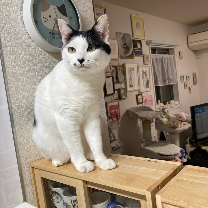 325c842c 7e2b 43b7 a660 8f3f10f42bc2 1768423579560