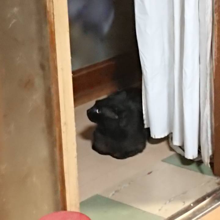 325c90db a2b2 4566 aa35 0c1f07f461f5 1623758705896