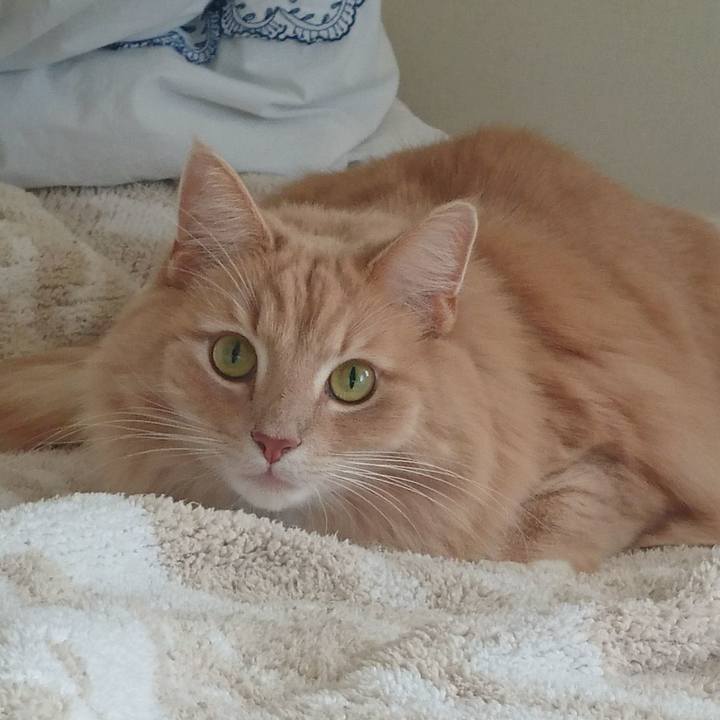 325d3395 4917 427f 8930 428717326434 1515548303785