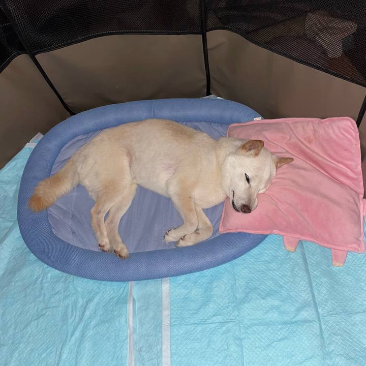 325d6494 16a9 4319 8384 d4978600cfca 1654008241150