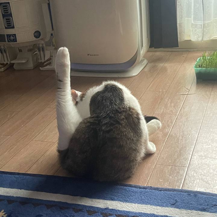 325d8a07 a008 491d 993a 5709405ccaff 1628736258935