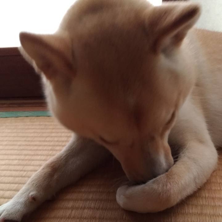 325d8a3d 5b30 4e50 82ee 82352c485a56 1531437939940