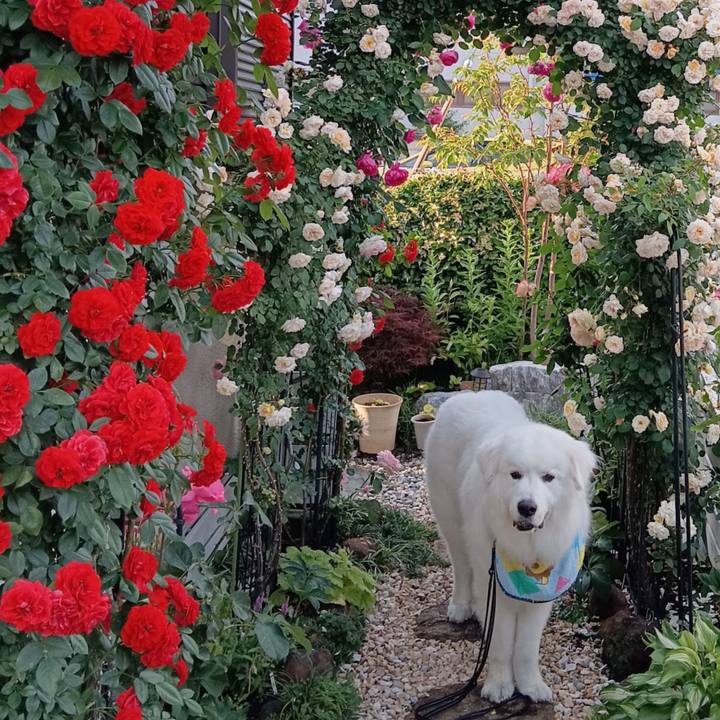 325da746 71ab 43b0 a20d 89c14a94539a 1716934116200