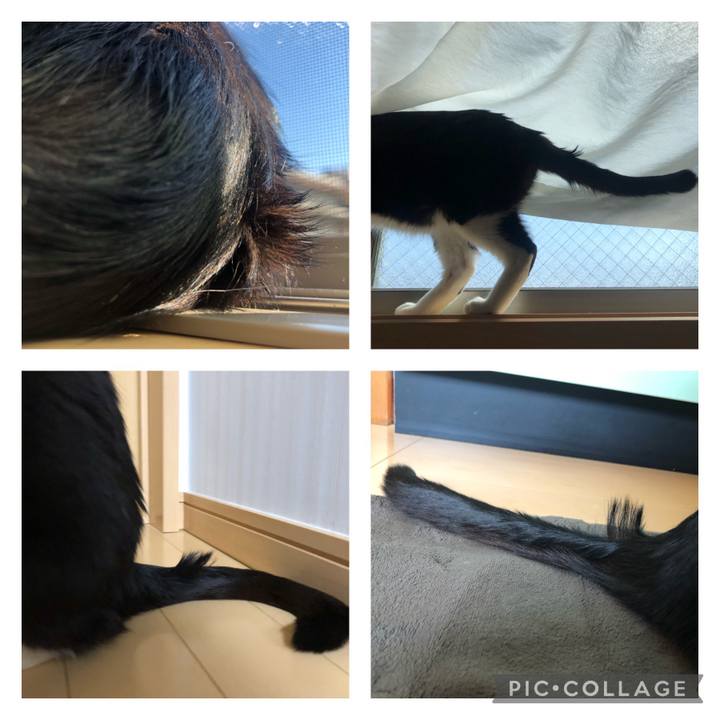 325ddf15 a169 43e4 a93f eec873d509db 1623859890731