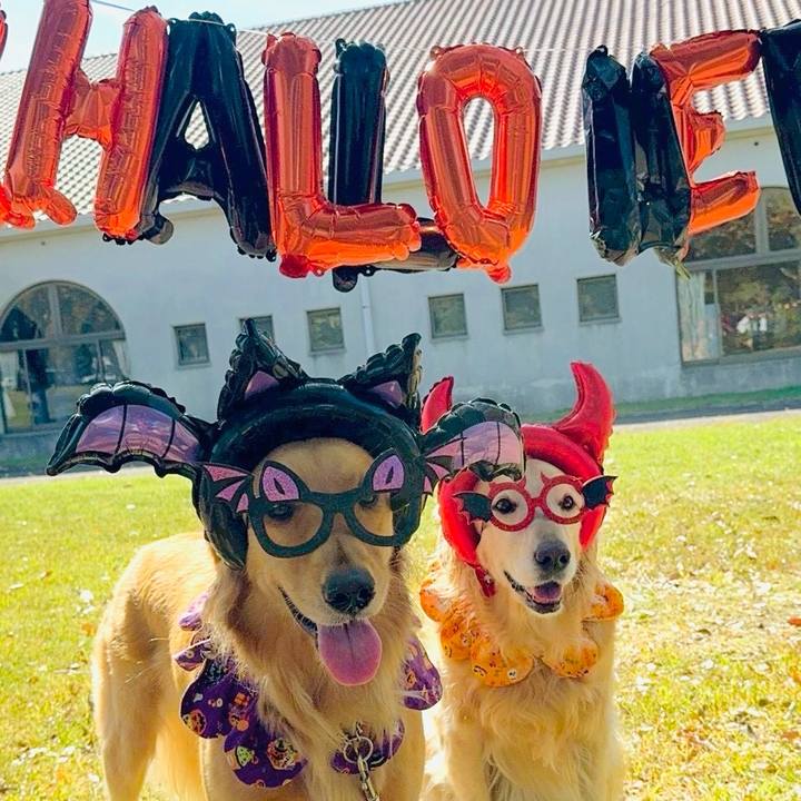 325de820 6748 43d3 902f 6efbbc73ee39 1761870725269