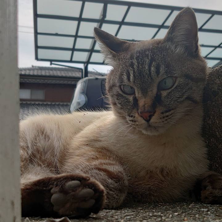 325e61a6 a15b 4a94 8ace 0171d1b53dce 1647836338371