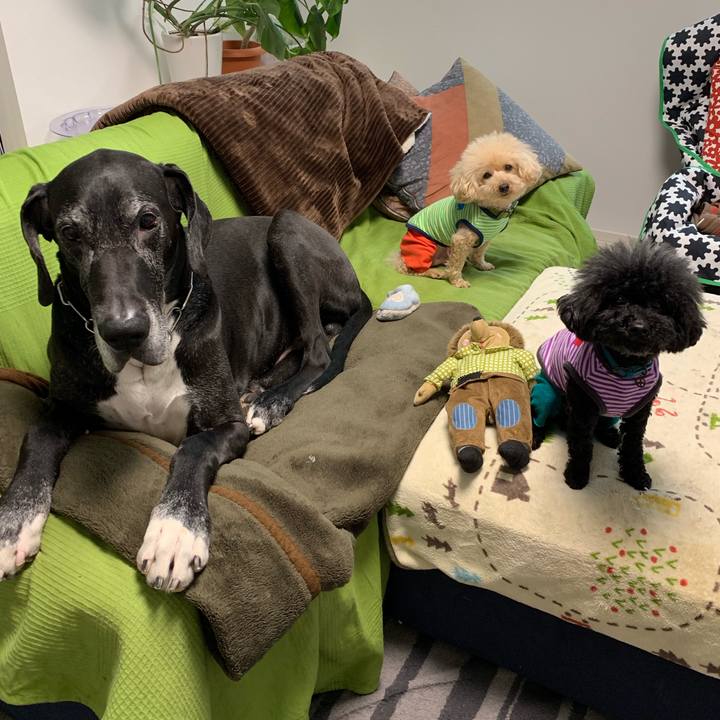 325e8806 3a76 42c2 ac63 41cad276fc50 1554677269982