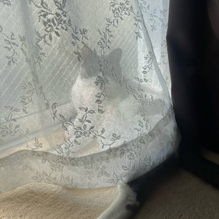 325e945a 95be 40af b02a 376ff5c55d30 1693701020828