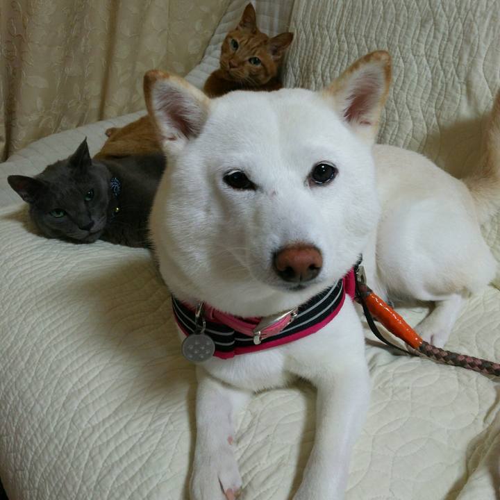 325eb5c2 0c33 4ffe 9f8c 9c5742893554 1560868993469