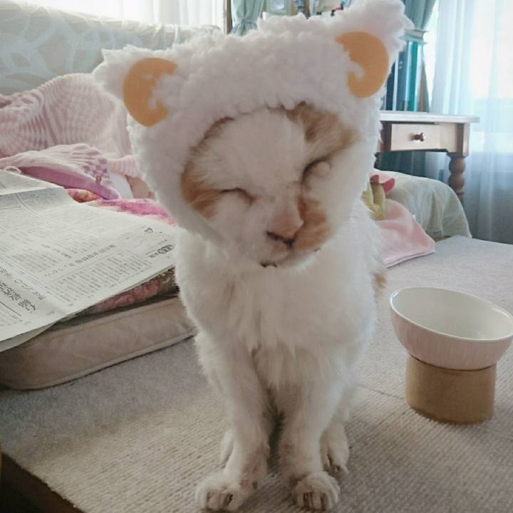 325ec4a4 ae32 419c bd84 a0606c4690f8 1623881878423