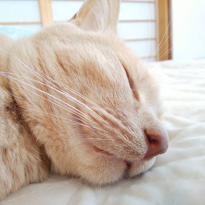 325ec6a3 008b 4f49 8766 de0e675ef35f 1659154792358