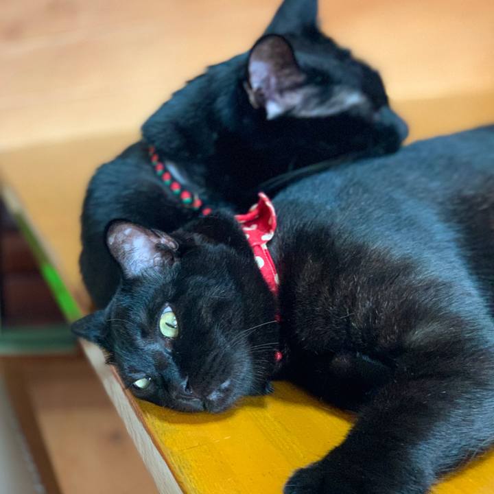 325ee4d5 3ab1 4e85 8527 a42874041bb4 1574477421401