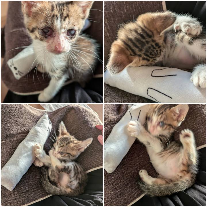 325f3128 7be9 42c2 bf6c 2da109c234b4 1726210291821