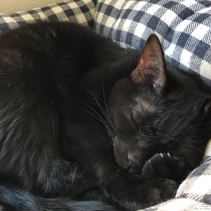 325f883f a9f1 48cb a3b3 1acf5bb5b101 1562735980256