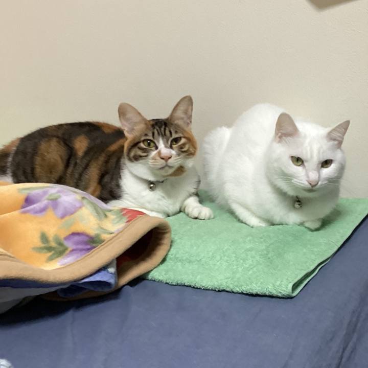 325f8971 7aac 46a6 81aa 2f166d0a9d61 1671503634526