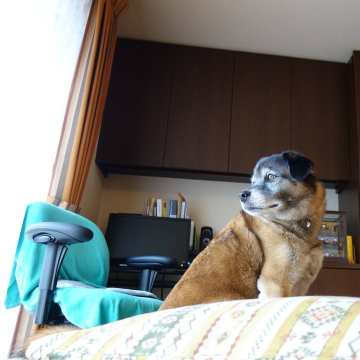 325f8d47 4cc3 4da4 b032 d1a3cdfa6d5a 1639873515508