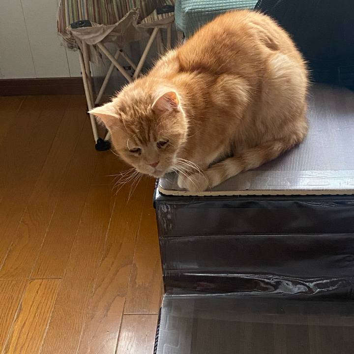 325f909e b264 4d57 8680 da7d010cf57b 1614875599451