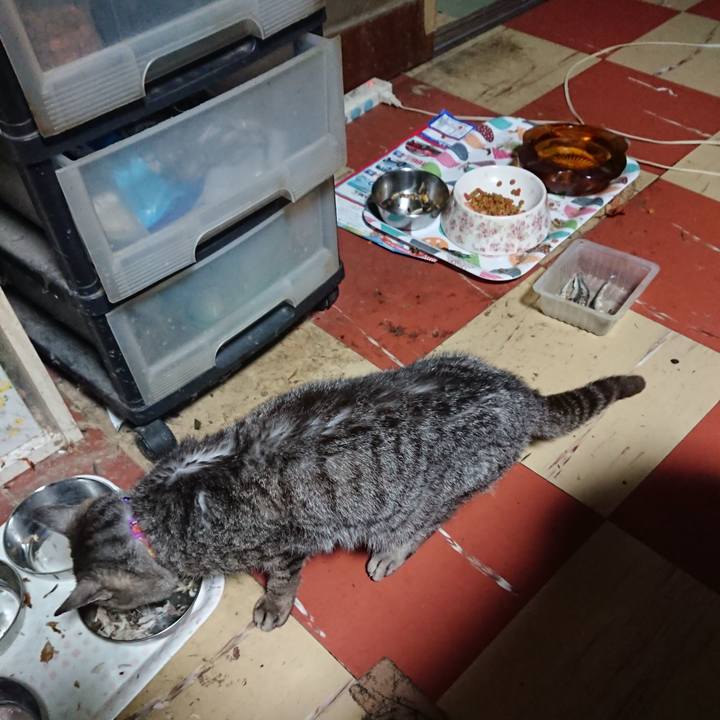 325fa6fc e155 42f2 8df3 6a46821f1a66 1593808240656