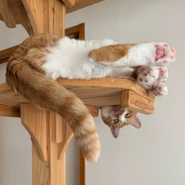 325fb7f4 2415 40e1 82ec c180cb8892b0 1761636335382