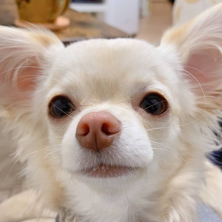 325fc7b7 e41a 47da a91e 3e15bb3281cf 1610701277309