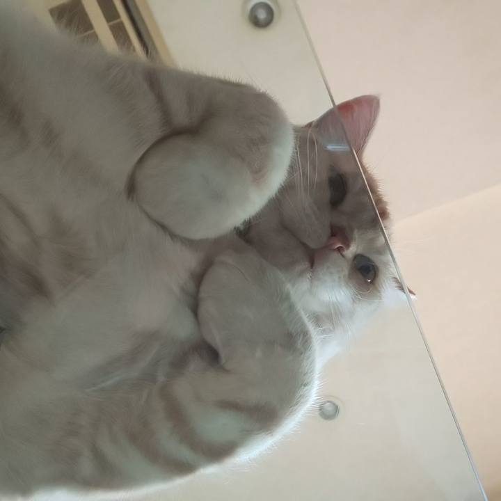 325fccbf 9455 4457 b3d9 fc4bd80d205b 1540248545637