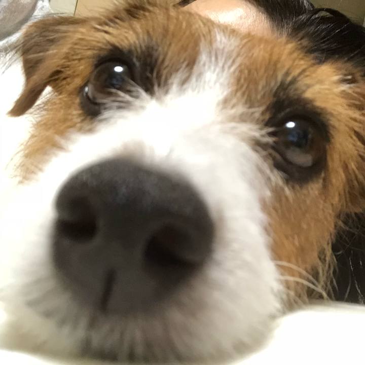 326032d6 248b 44b9 a7b3 fd1a2f1fe79c 1537784054237