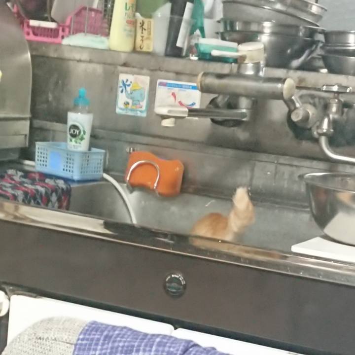 3260640a 7a63 42a9 8692 4ac50f106f4d 1630960110836