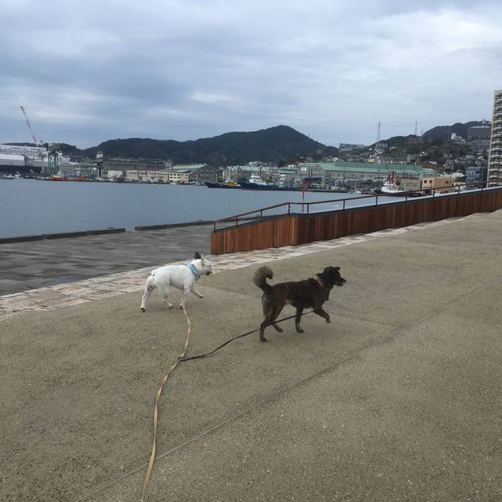 326068c3 14de 42b5 9c2c 059752accd62 1546006680304