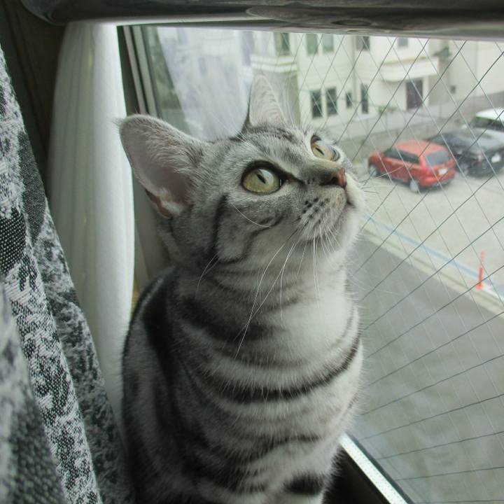 326074c0 95f3 4478 8519 7cdd7c16783a 1553917415758