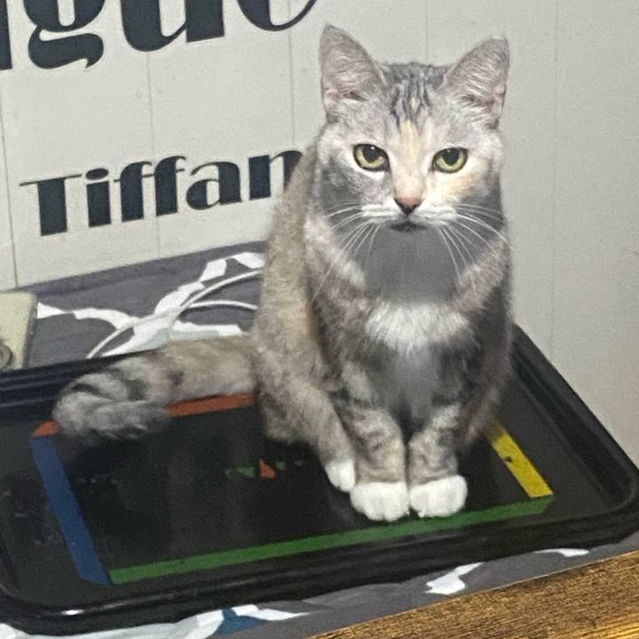 3260ae4c fe3a 4ab2 91a5 d5ed5731caef 1763550190669