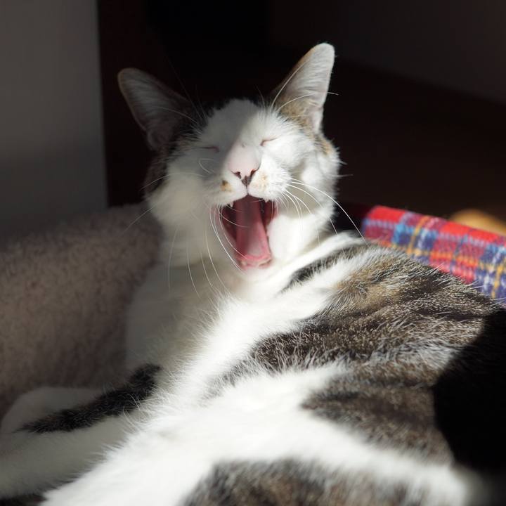 3260b724 1913 4a3c b36d 076293f55c35 1608621292824