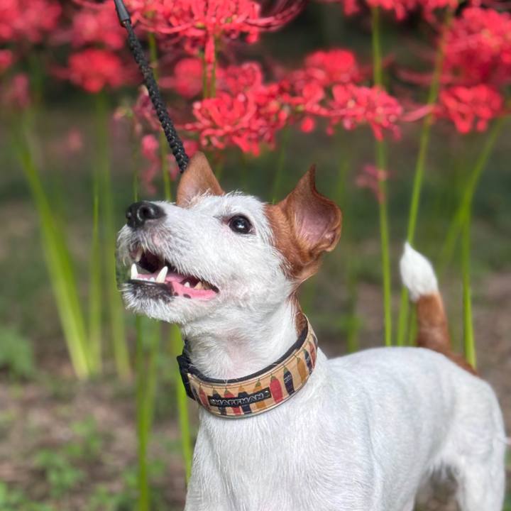 3260d534 db74 4321 bf7e b00a77b39946 1759237477833