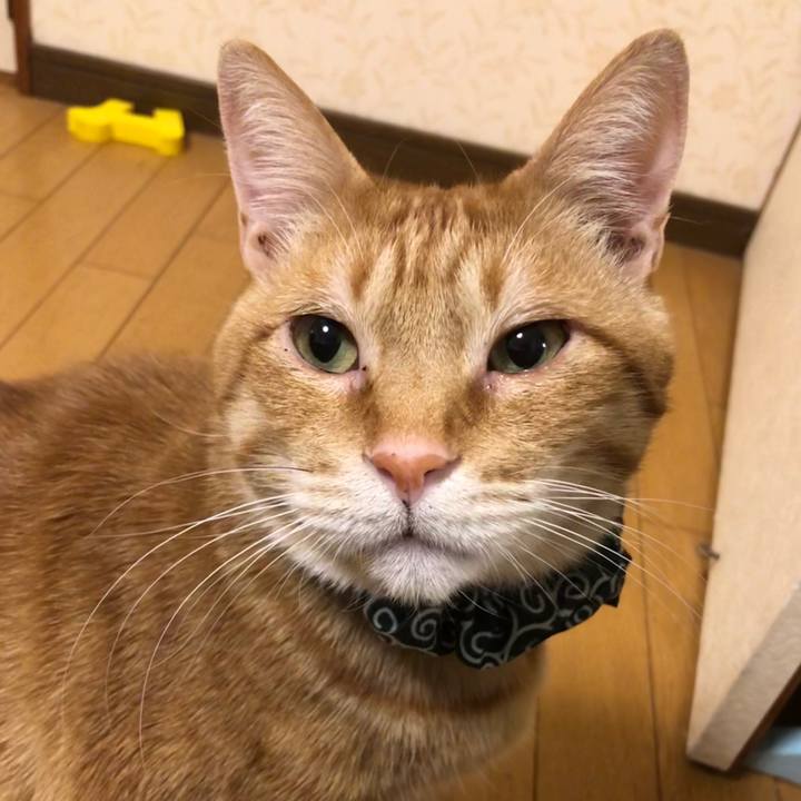 3260db42 90b2 4812 ae33 ab3cd2061c76 1576671162868