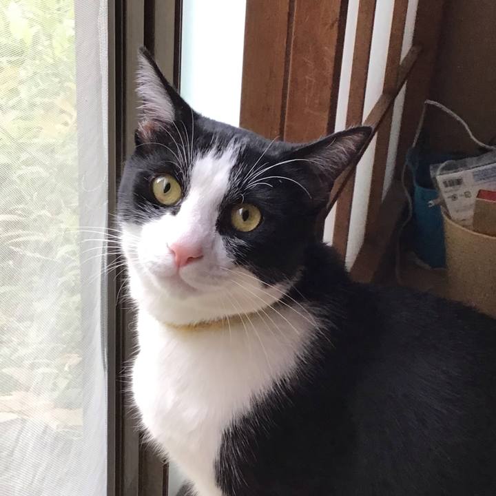 3260eeaa 7f82 4ba6 a666 6772457ad530 1651046056787