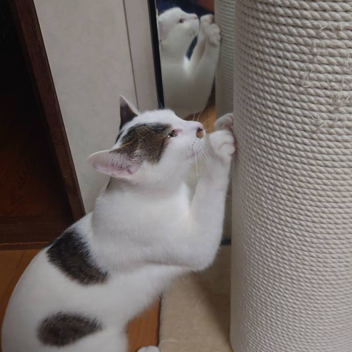 3260f1ce e324 4ee4 9ea3 77b2ac547633 1698507392631