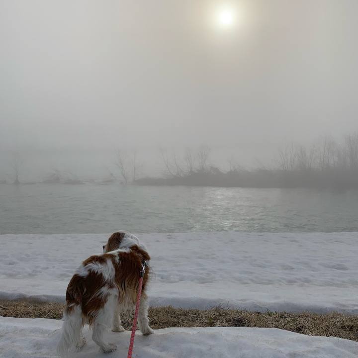 3261119b f841 427a bf8d b9a5c5875b65 1617229217275