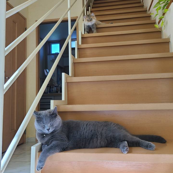 326124f9 c74c 41a3 ace4 b5c8535d32d6 1600045622189