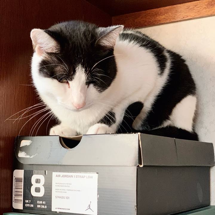 326149f8 32dc 4ff7 8f72 9829c6613f66 1546563168236