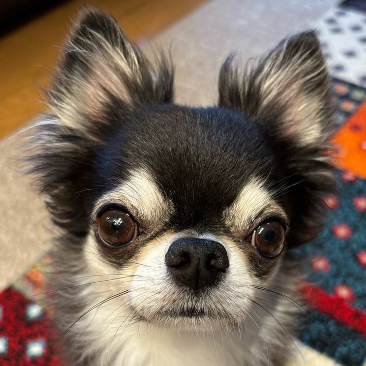 32616f0f 15f5 42e7 975d 4b1f7e33683d 1720307838837