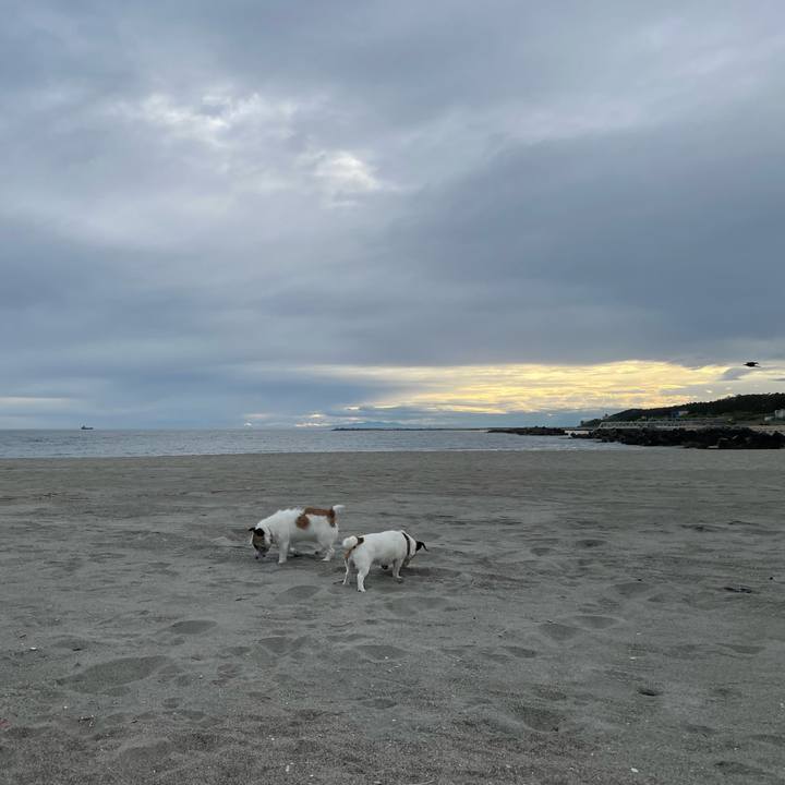 32621abf 7b53 4038 8a0a 11b02edab909 1748643620912