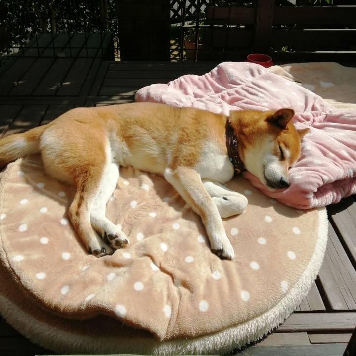 326245d3 ada4 4a8c b24d 1c92825ec29f 1680334952619